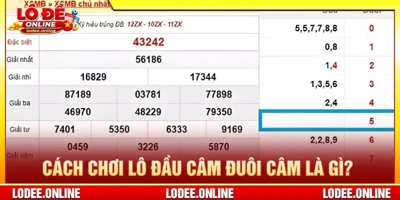 Cách chơi lô đầu câm đuôi câm là gì?