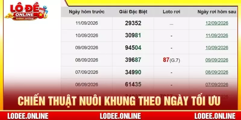 Chiến thuật nuôi khung theo ngày tối ưu